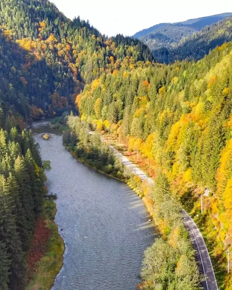 Bistrița prin Cheile Zugrenilor, toamna, văzută de sus