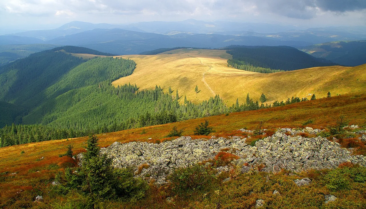 Pajiștile alpine de pe Giumalău, toamna
