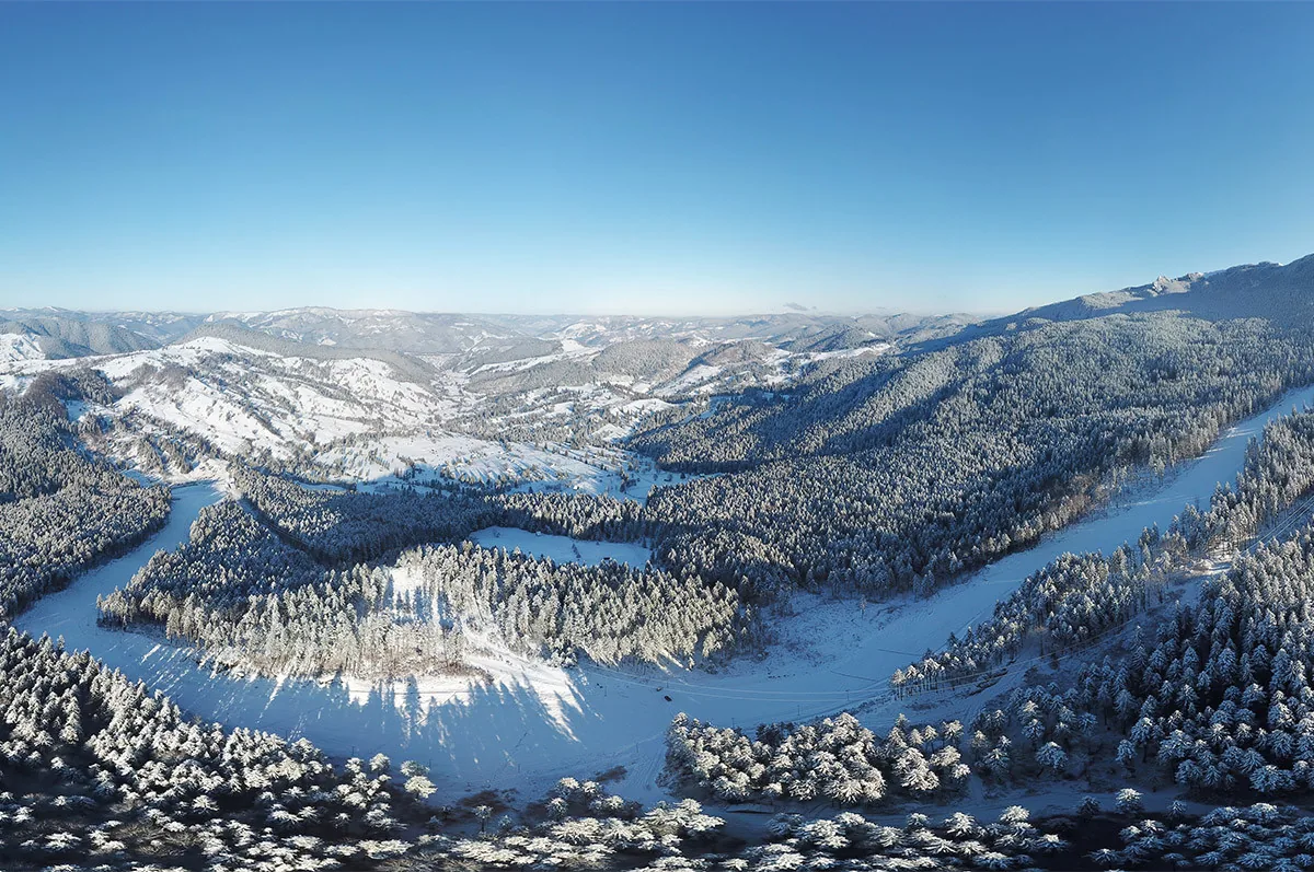 The Rarău slope through snow-covered forest, seen from above