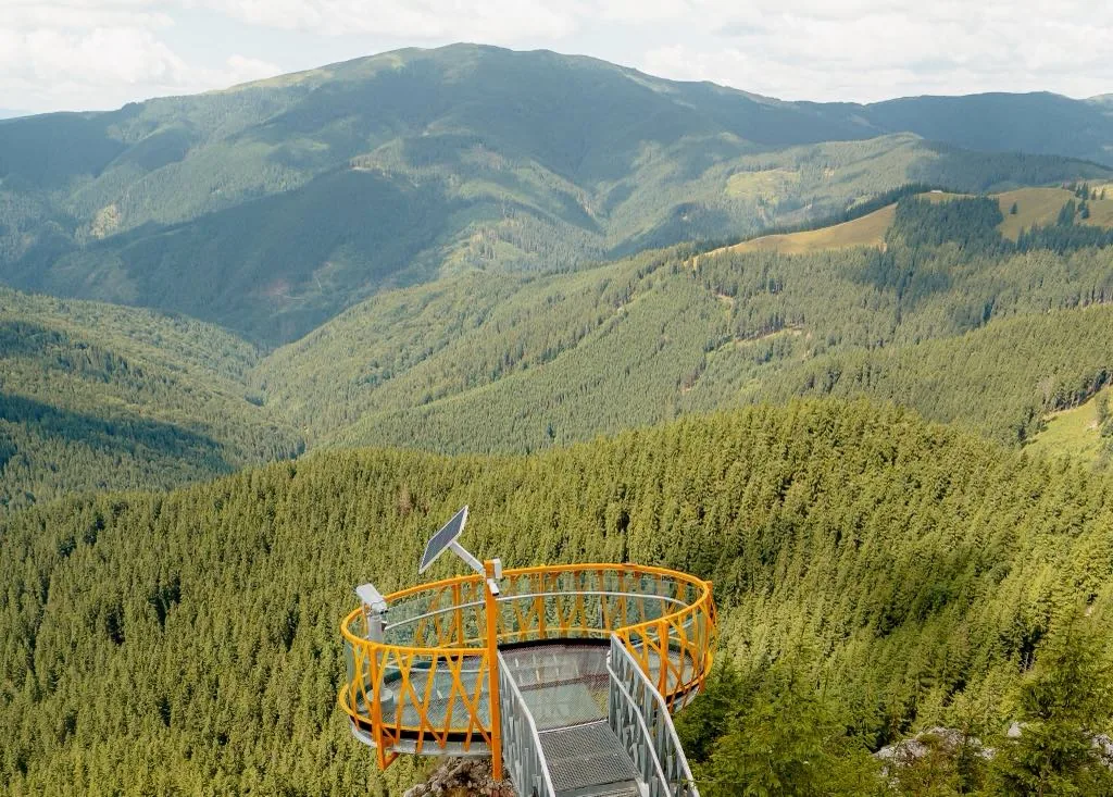 Platforma Skywalk de pe Piatra Șoimului, deasupra pădurii